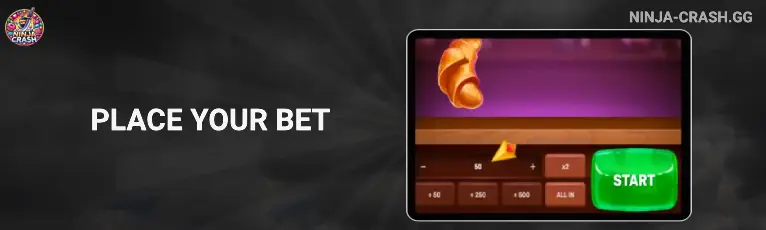 Place Your Bet ninja-crash